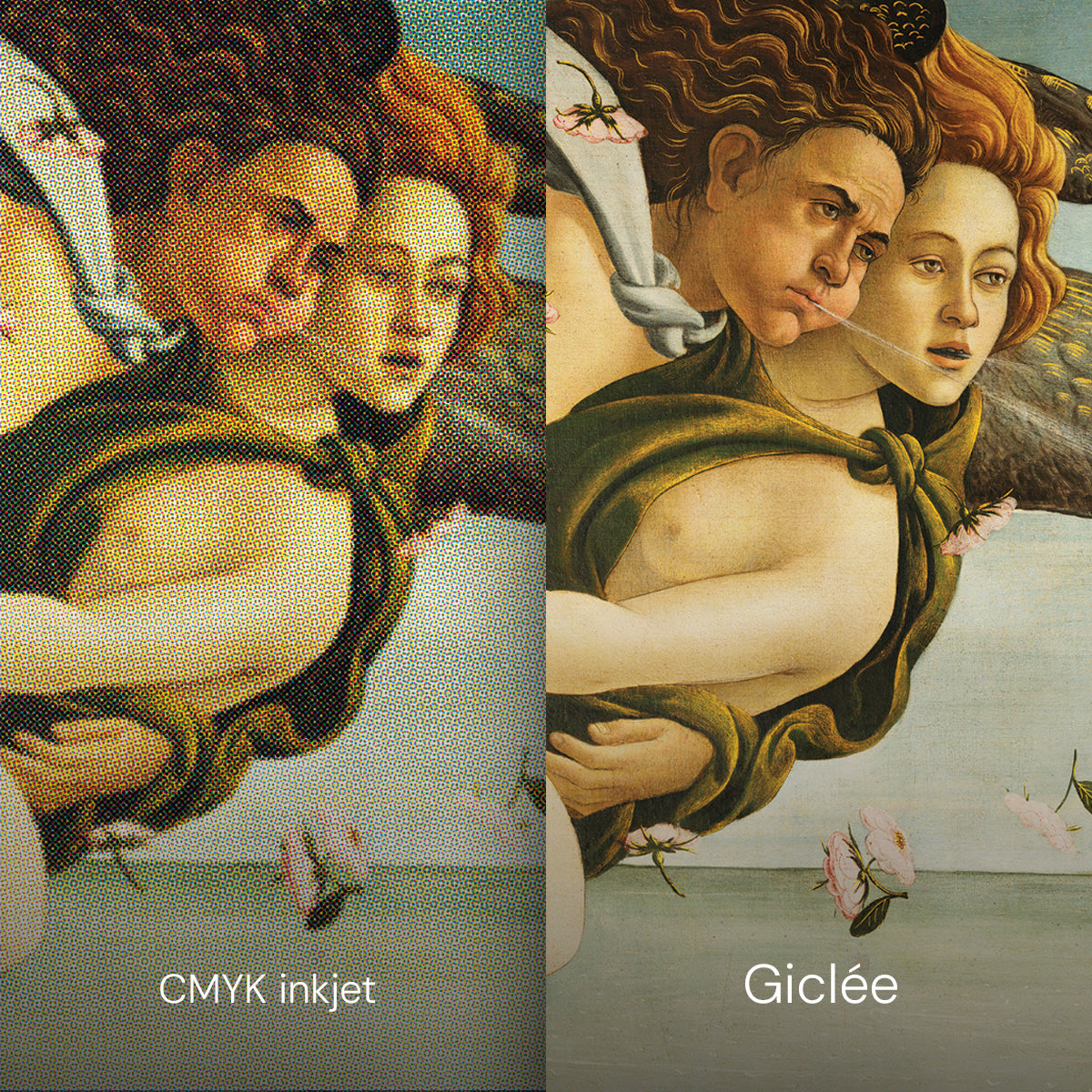 The Birth of Venus - Art Print