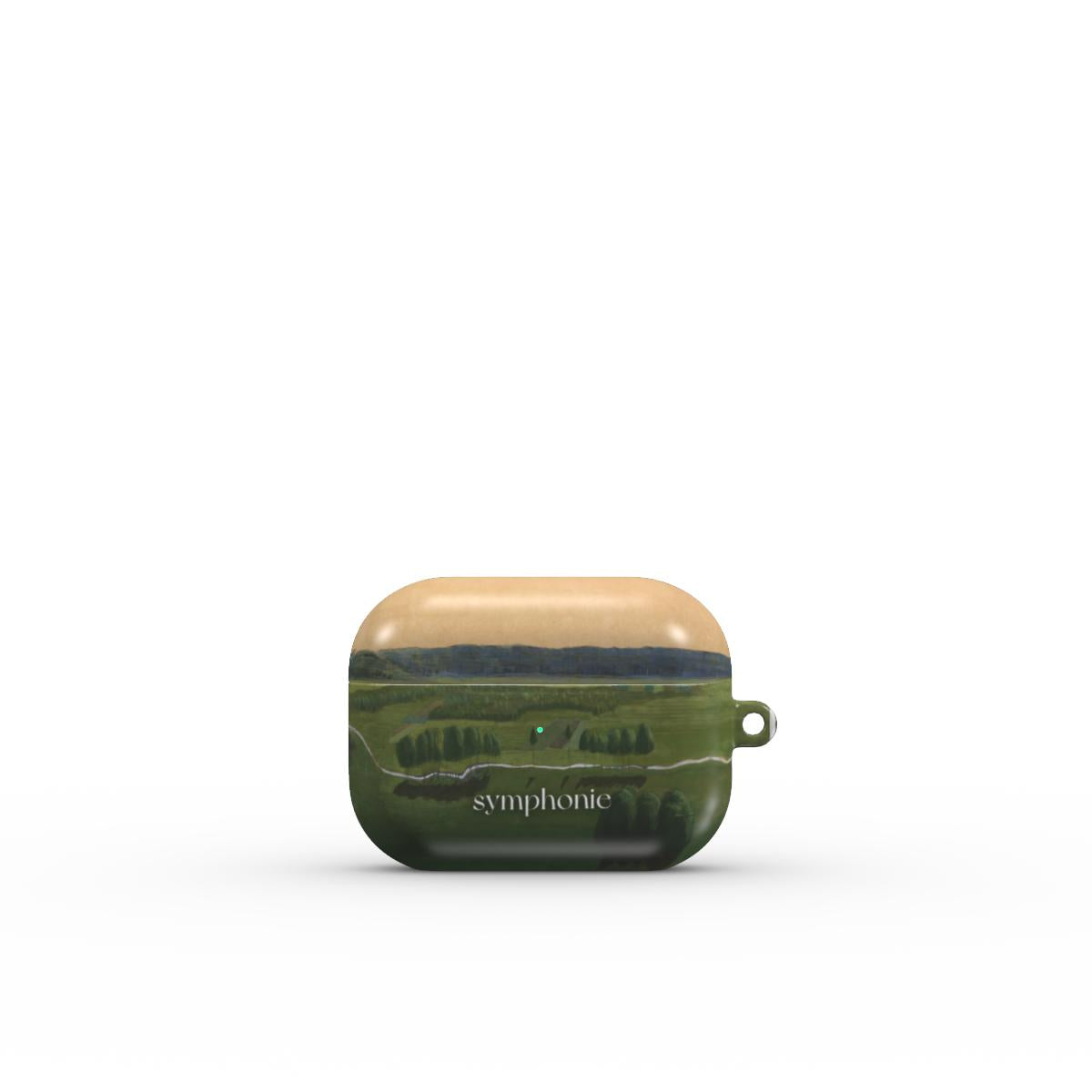 Raigardas II - AirPods case