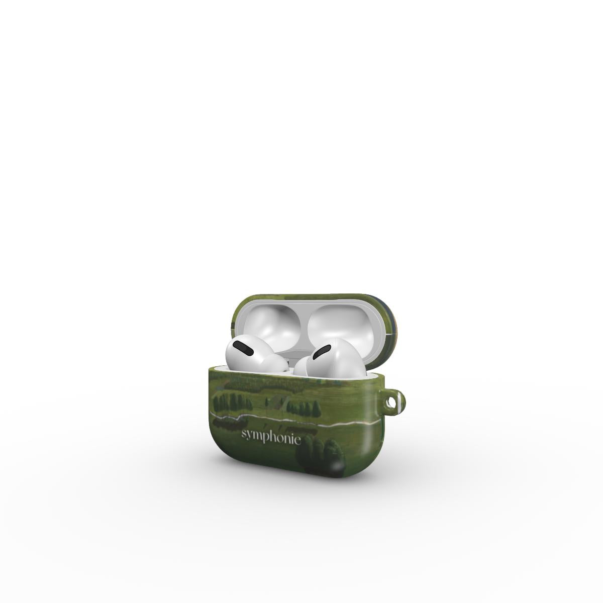 Raigardas II - AirPods case