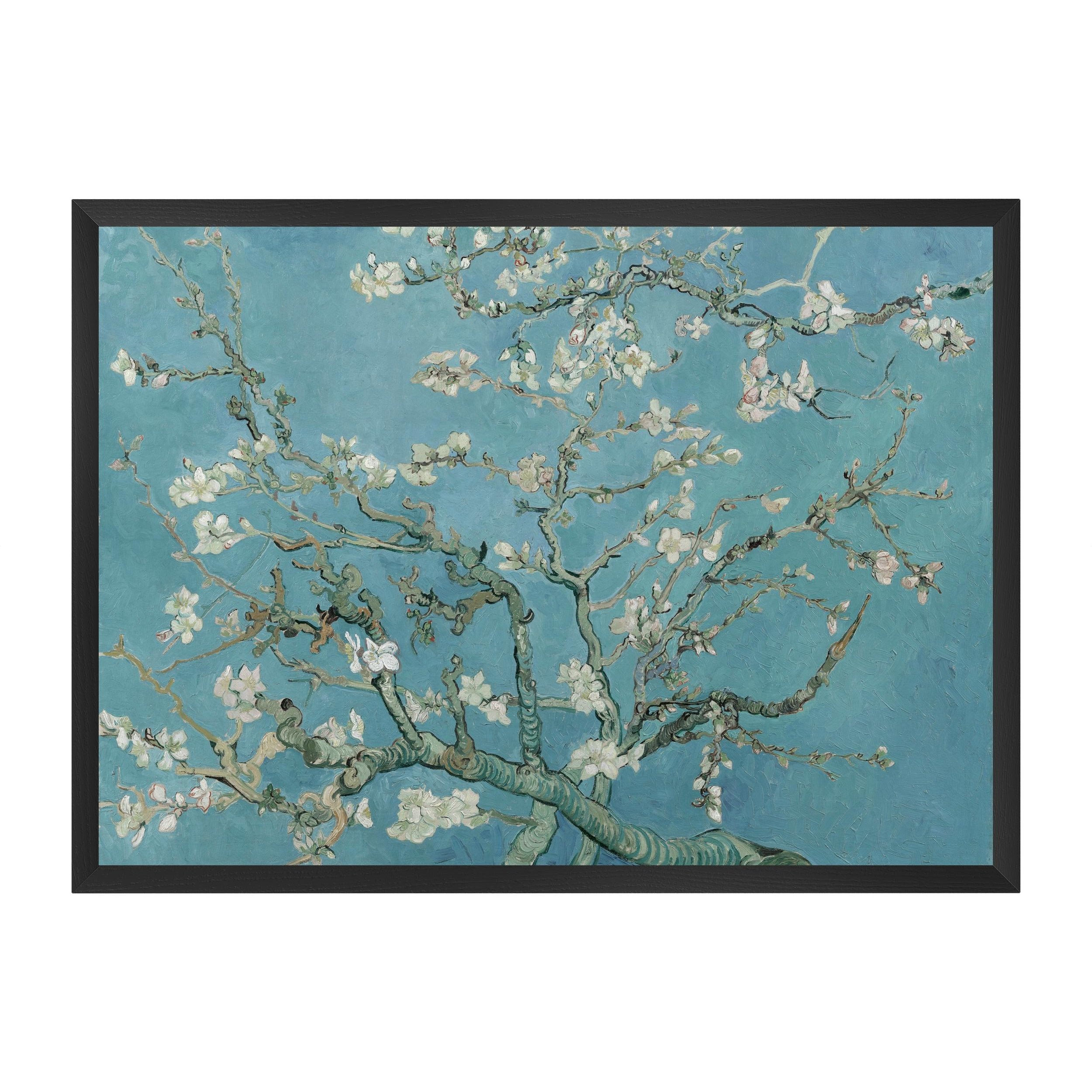 Almond Blossoms - Art Print